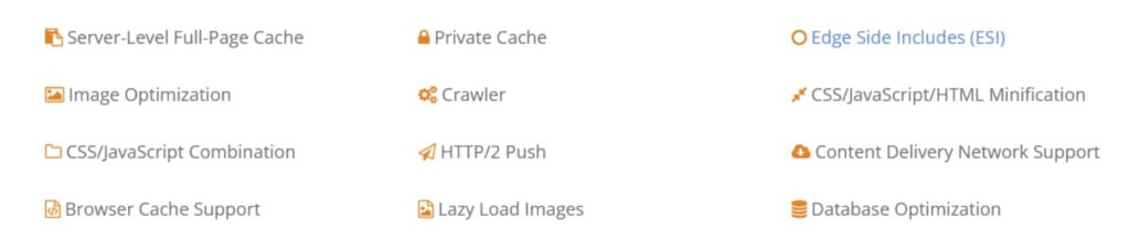 litespeed cache plugin features